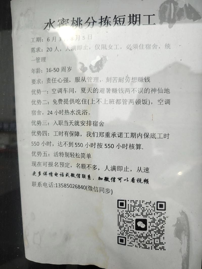 桂阳人才招聘：如何避免信息陷阱